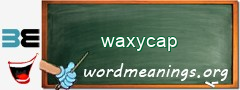 WordMeaning blackboard for waxycap